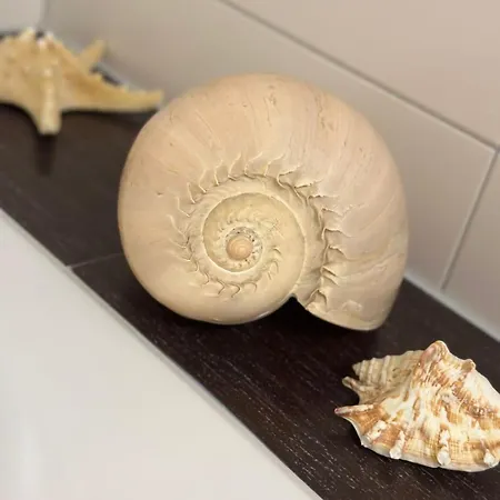 Schoene Bodenseeregion דירה סינגן