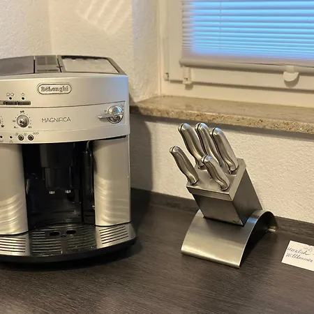 Schoene Bodenseeregion סינגן