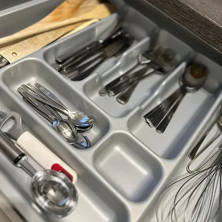 Schoene Bodenseeregion סינגן