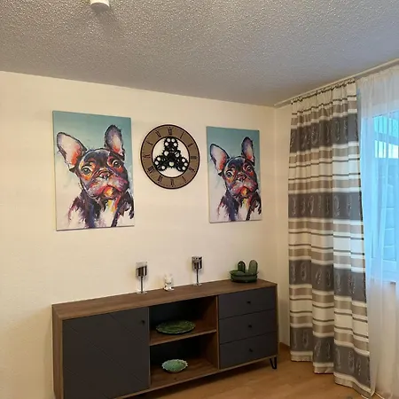 דירה Schoene Bodenseeregion סינגן