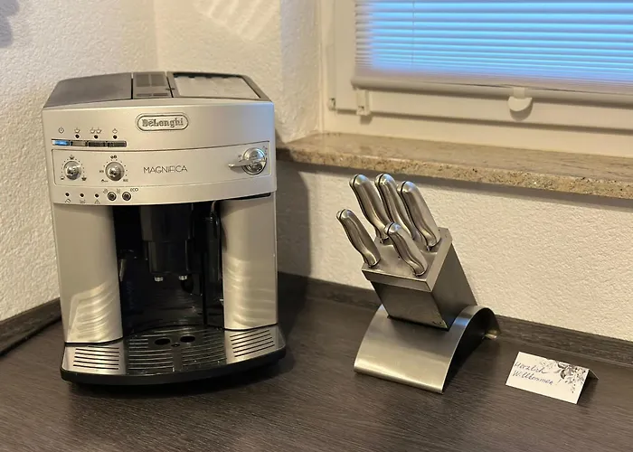 Schoene Bodenseeregion Singen